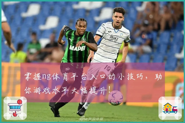 掌握ng体育平台入口的小技巧，助你游戏水平大幅提升！